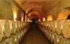 Cousi�o Macul vineyard