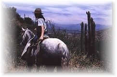 GIRL ON HORSE IN CHILE NATIONAL PARK